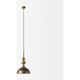 Capsa Pendant
