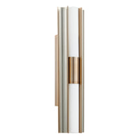 Colton 24" 2-Light 5CCT LED Vanity Light