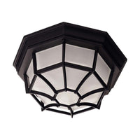 Exterior Collections 1-Light Outdoor Ceiling Light
