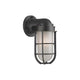 Carson 1-Light Wall Sconce