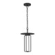 Florin 15" LED Outdoor Pendant