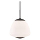 Jane 1-Light Large Pendant