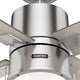 Beck Fan with LED Light 42"