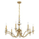 Champlain 8-Light Chandelier
