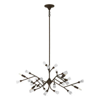 Malinda 6-Light Chandelier