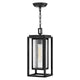 Republic 1-Light Medium Hanging Lantern