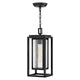 Republic 1-Light Medium Hanging Lantern