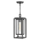 Republic 1-Light Medium Hanging Lantern