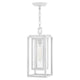 Republic 1-Light Medium Hanging Lantern