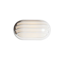 Bulwark 1-Light Outdoor Wall Sconce