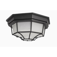Crown Hill 2-Light Outdoor Ceiling Mount
