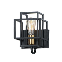 Liner 1-Light Wall Sconce