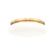 Soleil 1-Light Flush Mount