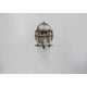 Seaside 1-Light Outdoor Wall Sconce