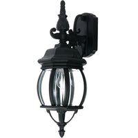 Crown Hill 1-Light Outdoor Wall Lantern