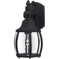 Crown Hill 1-Light Outdoor Wall Lantern