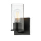 Livingston 1-Light Sconce