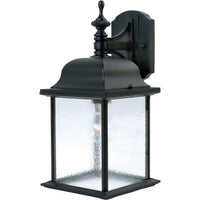 Senator 1-Light Outdoor Wall Lantern