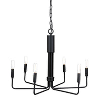 Raven Chandelier