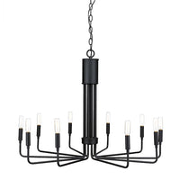 Raven Chandelier