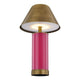 Molly 1-Light Portable Rechargeable LED Table Lamp