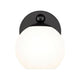 Neoma 1-Light Wall Sconce