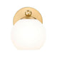 Neoma 1-Light Wall Sconce