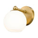 Neoma 1-Light Wall Sconce