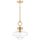Harbor 1-Light Pendant