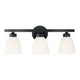 Jameson 3-Light Vanity