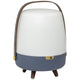 Lite Up Play Rechargeable Indoor/Outdoor Speaker Lamp