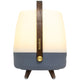 Lite Up Play Rechargeable Indoor/Outdoor Speaker Lamp