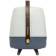 Lite Up Play Rechargeable Indoor/Outdoor Speaker Lamp