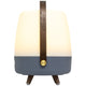 Lite Up Play Rechargeable Indoor/Outdoor Speaker Lamp
