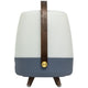 Lite Up Play Rechargeable Indoor/Outdoor Speaker Lamp