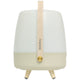 Lite Up Play Rechargeable Indoor/Outdoor Speaker Lamp