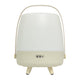 Lite Up Play Rechargeable Indoor/Outdoor Speaker Lamp