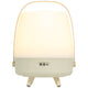Lite Up Play Rechargeable Indoor/Outdoor Speaker Lamp