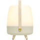 Lite Up Play Rechargeable Indoor/Outdoor Speaker Lamp