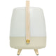 Lite Up Play Rechargeable Indoor/Outdoor Speaker Lamp