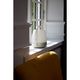 Lite Up Play Rechargeable Indoor/Outdoor Speaker Lamp