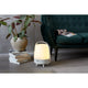 Lite Up Play Rechargeable Indoor/Outdoor Speaker Lamp