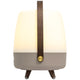 Lite Up Play Rechargeable Indoor/Outdoor Speaker Lamp