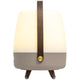 Lite Up Play Rechargeable Indoor/Outdoor Speaker Lamp