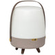 Lite Up Play Rechargeable Indoor/Outdoor Speaker Lamp