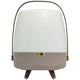 Lite Up Play Rechargeable Indoor/Outdoor Speaker Lamp