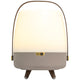 Lite Up Play Rechargeable Indoor/Outdoor Speaker Lamp