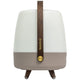 Lite Up Play Rechargeable Indoor/Outdoor Speaker Lamp
