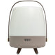 Lite Up Play Rechargeable Indoor/Outdoor Speaker Lamp