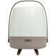 Lite Up Play Rechargeable Indoor/Outdoor Speaker Lamp